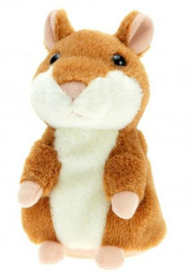 hamster_.jpg