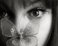 Shelli@