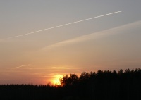 Аризона(:dream:)