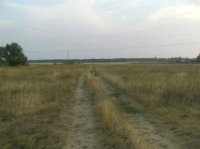 Ясный день