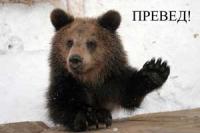 Медфешонок