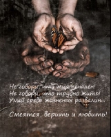 mitko_ru_mail_ru