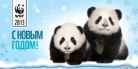 Astropanda