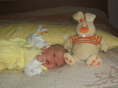 1229469.jpg