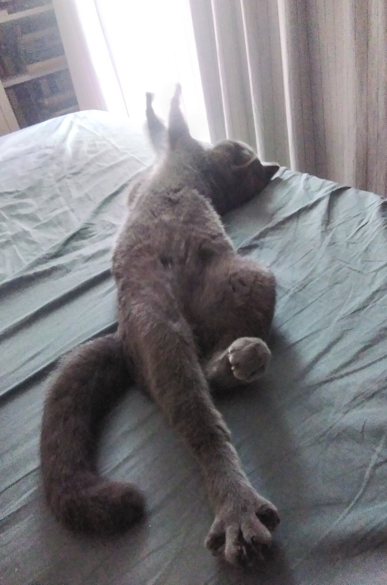 20220813_083015.jpg